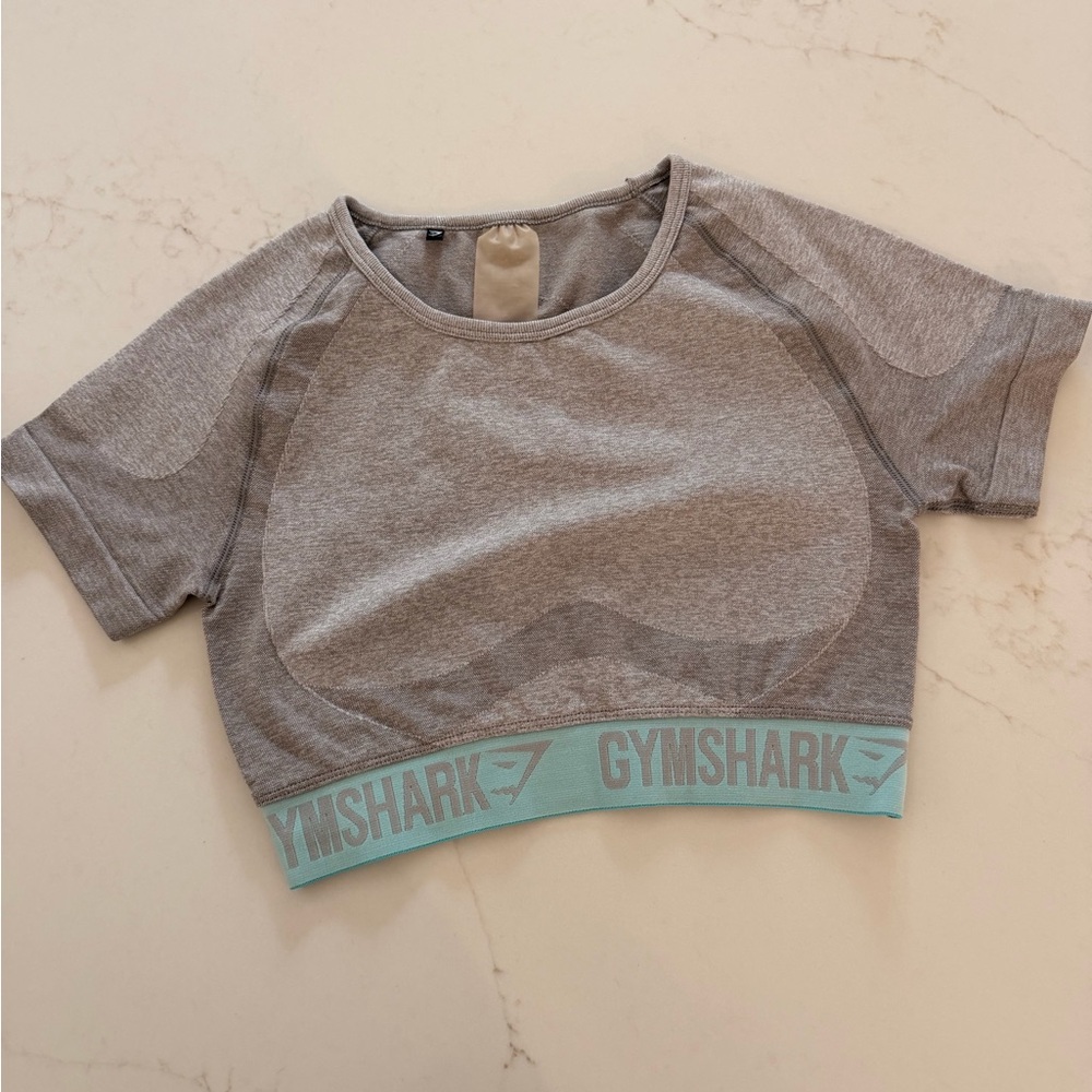 Gymshark Gray Seamless Cropped Short Sleeve Top Aqua Logo Band